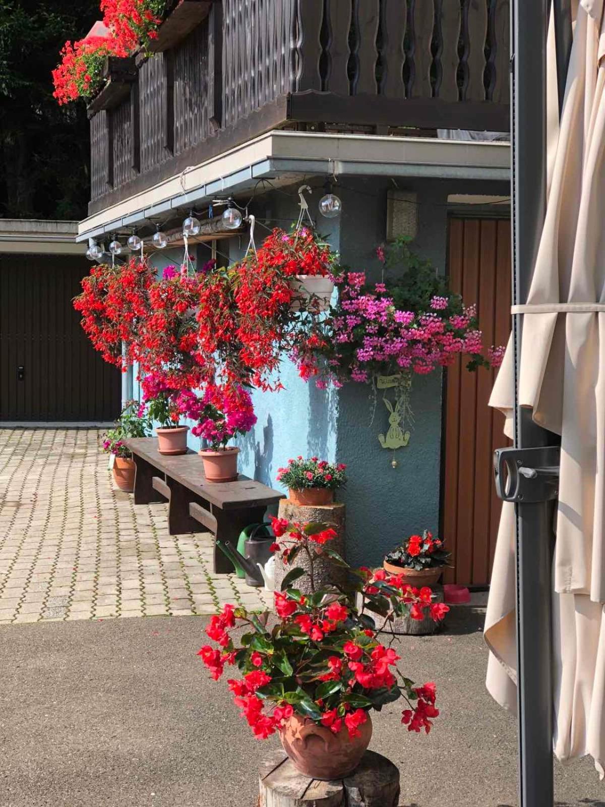 Haus-erzberg Frühstückspension